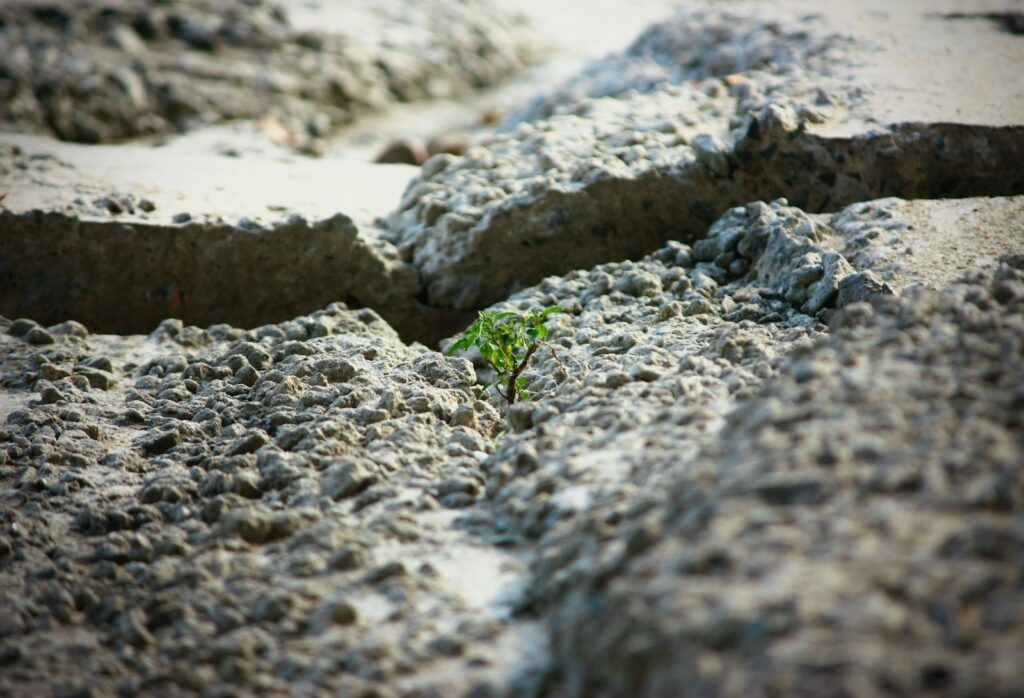 EU environmental agency throws weight behind Climate Resilience Framework