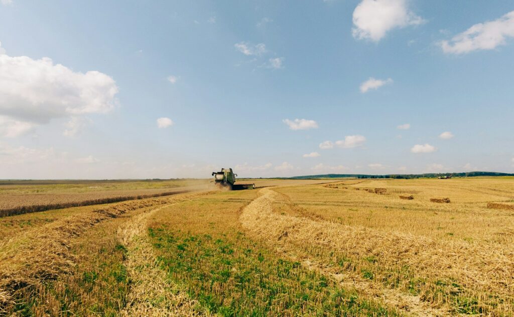 Russia’s strikes on Ukraine threaten global food supplies, warns EU delegation