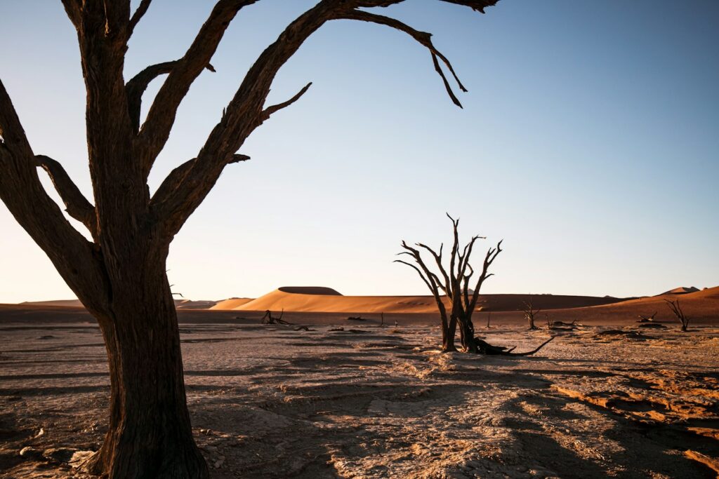 EU funds early drought response in Lesotho as El Niño threat looms