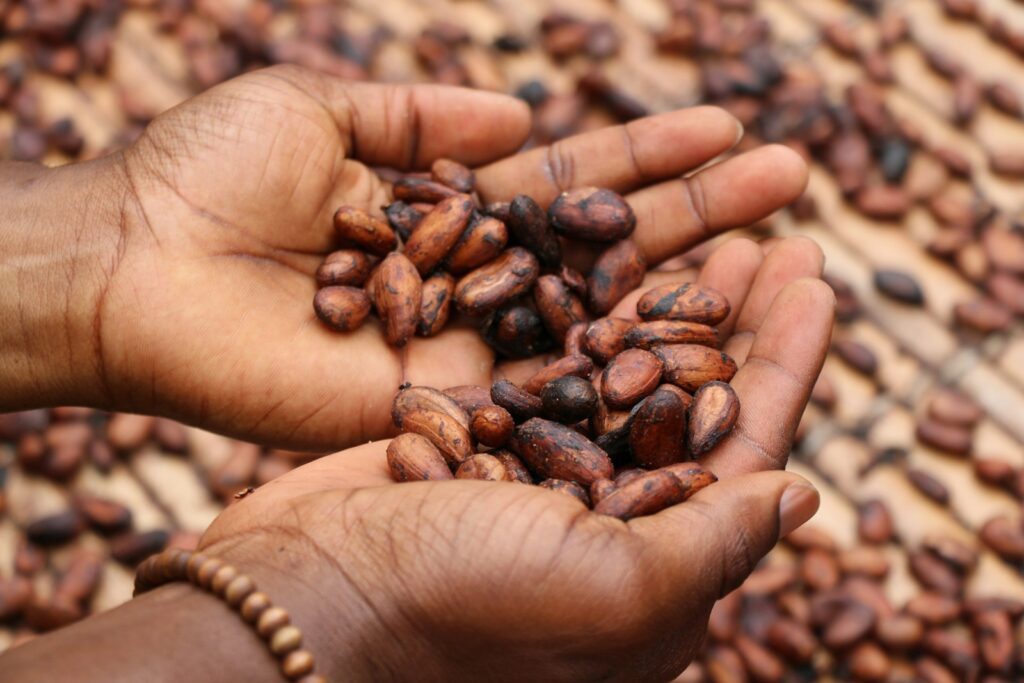 EU agri-food trade surplus hits €34.7b as cocoa imports plummet