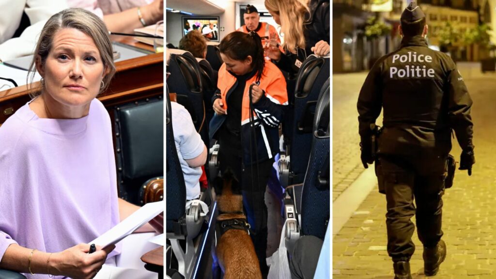 Belgium in Brief: Lessons from the universe