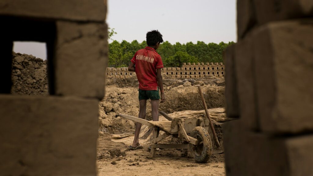 Europe-wide crackdown exposes 248 trafficking victims, forced labour