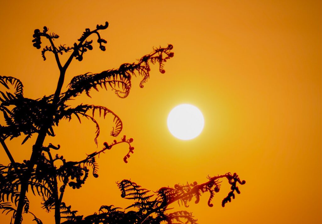 EU countries urged to prepare for a world that'll be 3°C warmer in 2100