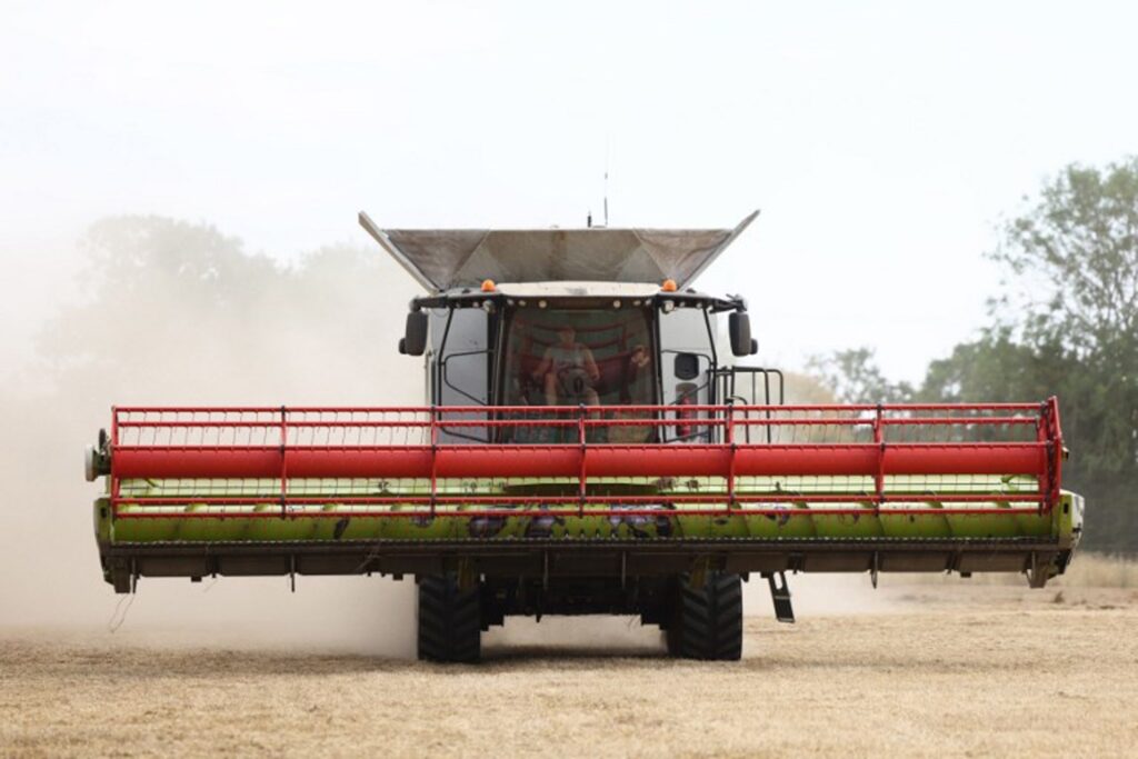 Global agricultural prices rising fastest since 2022
