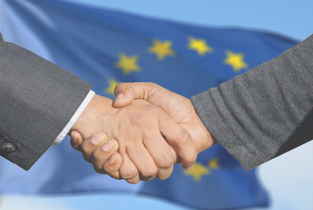 Brussels is funding the voices that tell it what it wants to hear