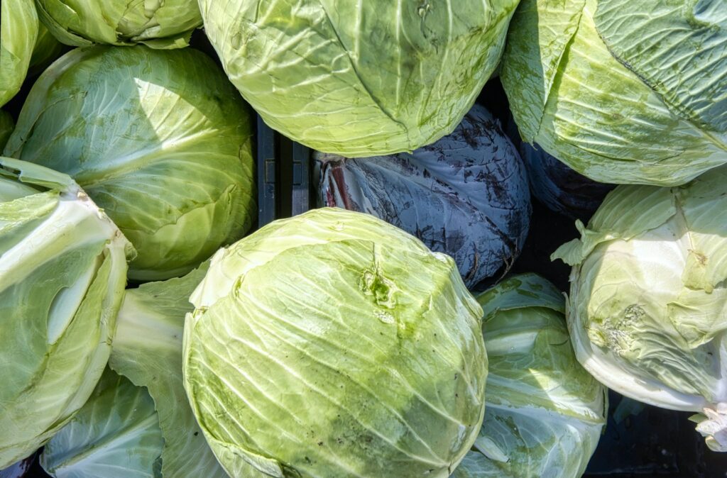 EU adds four artisanal foods and drinks to protected geographical list