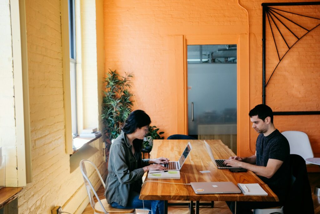 EU business landscape sees more start-ups than closures in 2024