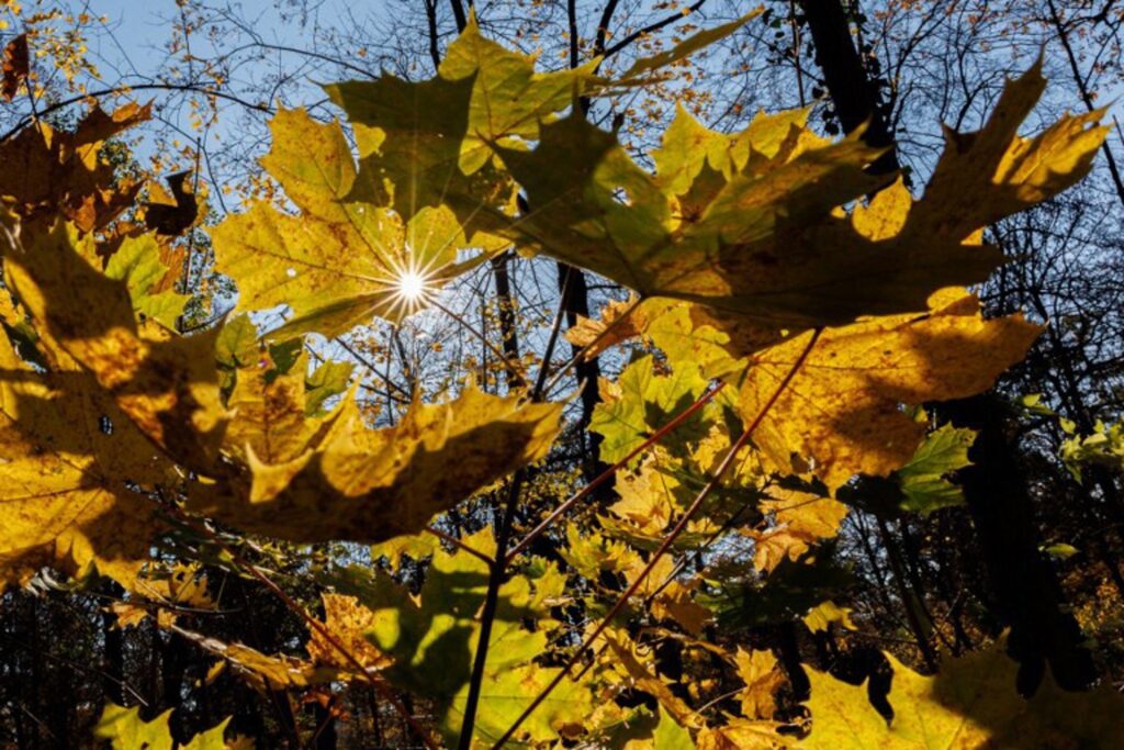 Belgium to hit 24°C on Tuesday before temperatures plunge
